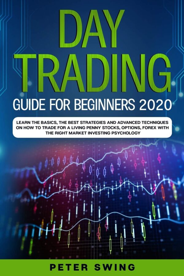 1749314244 day trading guide for beginners 2020 learn the basics the.jpg