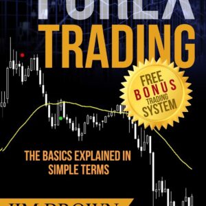 Forex trading the basics explained in simple terms forex forex.jpg