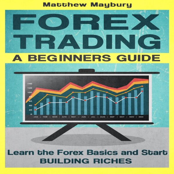 Forex a beginners guide to forex trading learn the forex.jpg