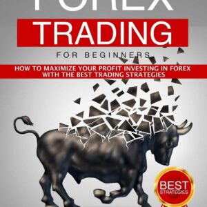 Forex trading for beginners how to maximize your profit investing.jpg