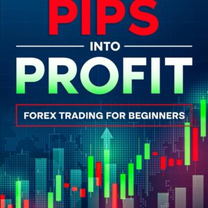 Turning pips into profit forex trading for beginners.jpg