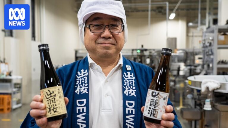 Sake brewers rely on the us market but trump's tariffs