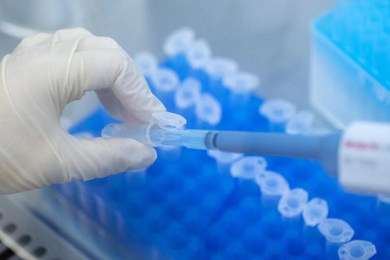 Sarepta refused fda’s request to halt elevidys shipments